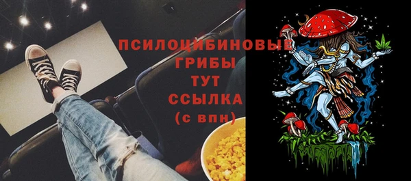 винт Краснослободск