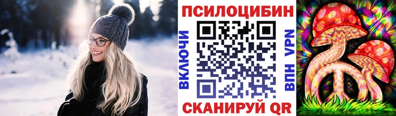 Купить  Новокубанск  Псилоцибиновые грибы GOLDEN TEACHER 